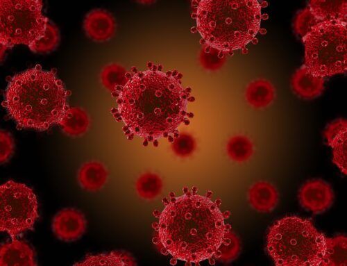 Coronavirus in Spain: The hardest article I’ve ever written