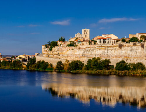 Living in Zamora Spain: The Definitive Guide
